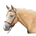 LightRider Western Bitless Bridle